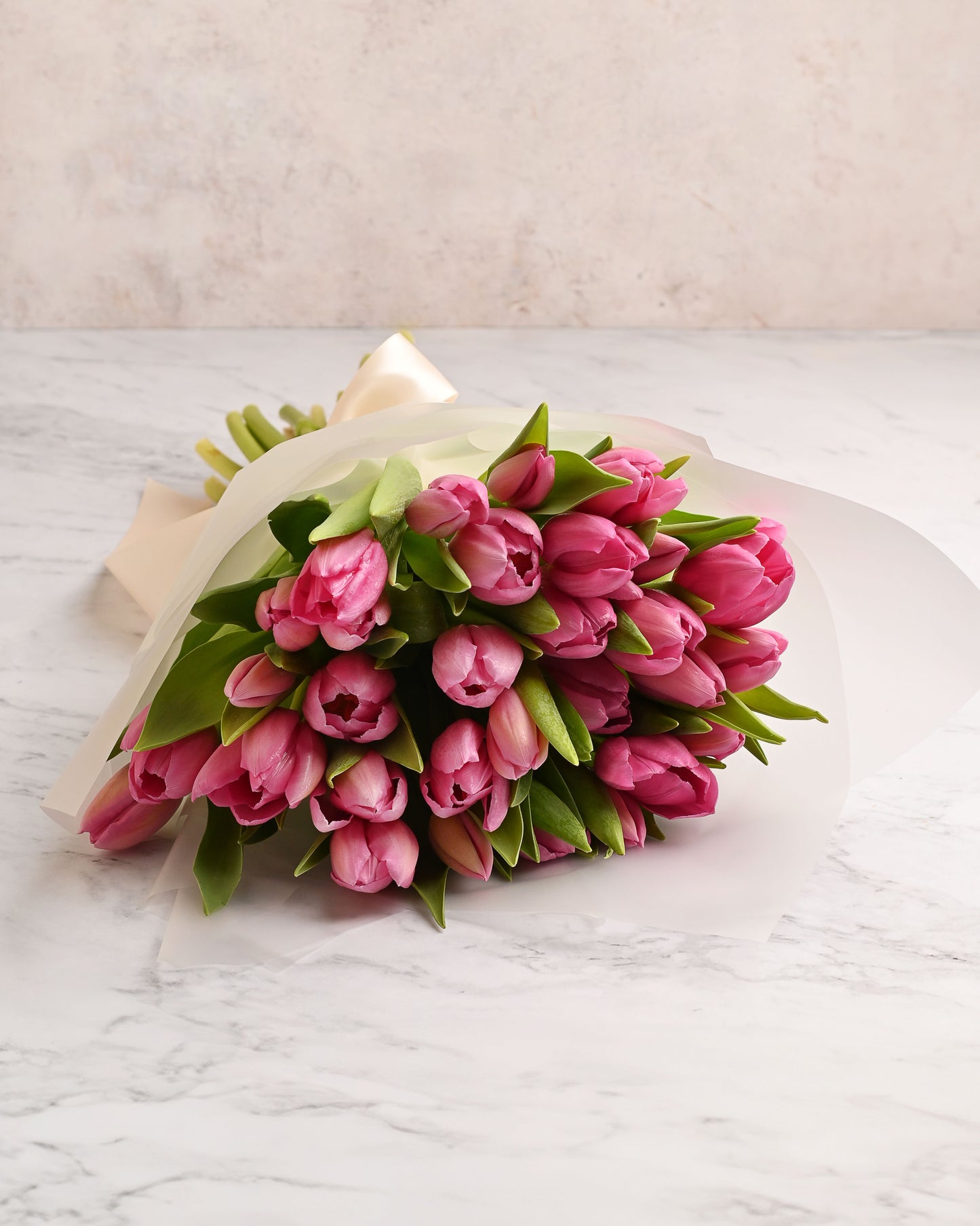 Tulipan Fucsia