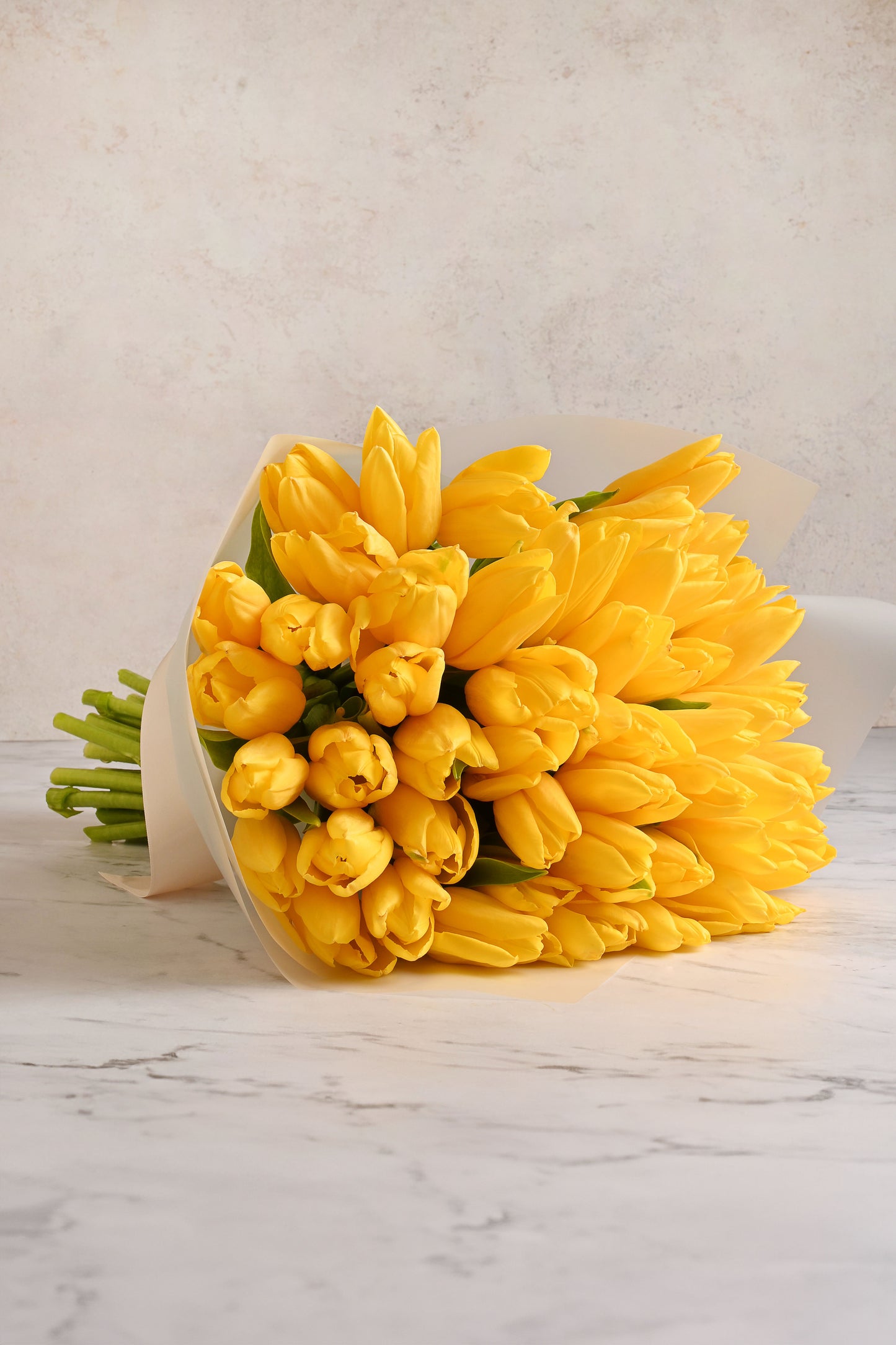 Tulipan Amarillo