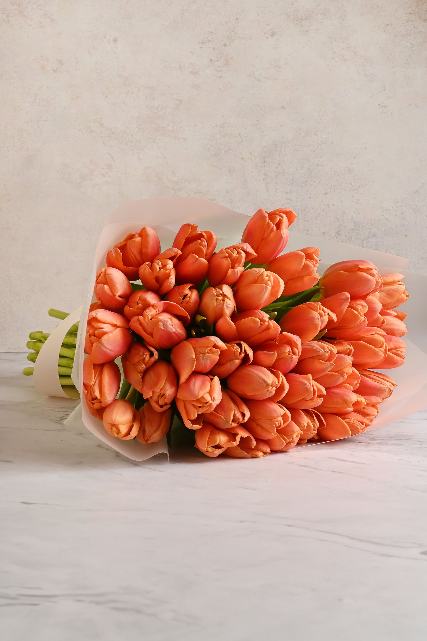 Tulipan Naranjas